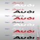 2 Aufkleber Audi Sport RS Carbon look